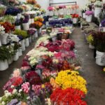 323447928_878645026798272_8124959596073046695_n