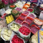 325598552_692418749133370_8644438076295521089_n