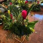 489466907_1755762595192306_4061283162460871134_n