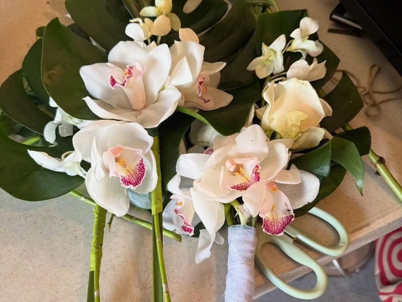 529315784_18403459243117176_7198151972469383117_n